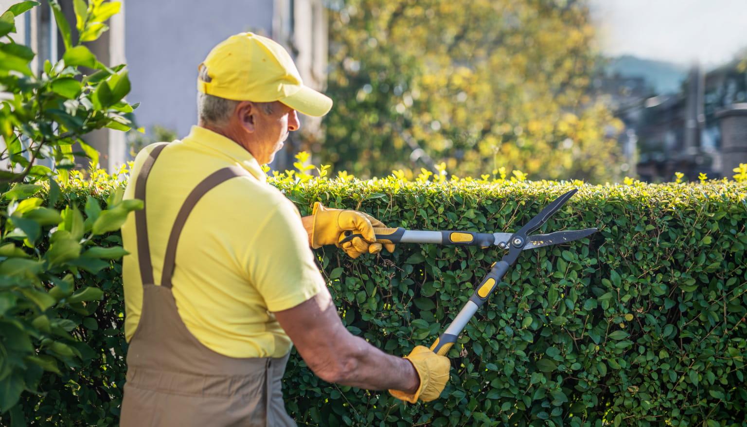 C. Caramanico & Sons